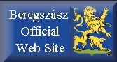 Beregszasz-Official-WS